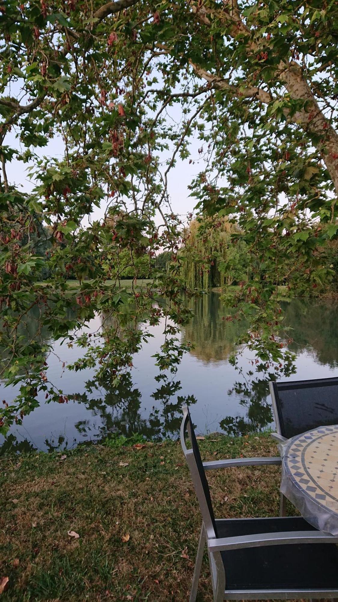 Bed and Breakfast Moulin Du Fief Gentil Blere Esterno foto